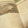 一荷（いっか）で釣れて嬉しいか。