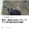 【全国的に頻発するクマ被害について……4／7、8　各地でクマの目撃相次ぐ《北海道、新潟、福島、栃木、愛知》】＃374