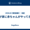 我が家に赤ちゃんがやってきた