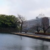 2022/02/11 大手町散歩　竹橋/和田倉濠/丸ビル・kitte/東京駅