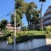 土屋塚古墳 (再訪)  狛江市岩戸南