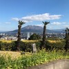 酒井駒子展