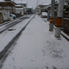 またまた雪降り…何故かワクワクだね