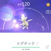 【ポケGO】コミュニティ・デイで色違いのトゲチックをゲットだぜ！