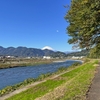 酒匂川両岸往復散策 松田から左岸を上がって 山北から右岸を下る
