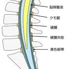 これは学校側の 登校刺激 娘に 悪夢 を見させる 直感 は現実となっていた Friendshipは船と港 藤田くらら 小6でtoeic980点までの軌跡 これは学校側の 登校刺激 娘に 悪夢 を見させる 直感 は現実となっていた Friendshipは船と港 藤田くらら 小6でtoeic980点までの軌跡