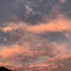 朝活20220812