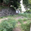 本門寺公園のドッグランは今！