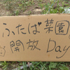 畑開放Dayふたたび