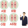 血液型がわかれば　遺伝はOK！