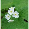 次回はもっと写真を