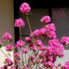 ４月バカ・・