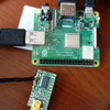 FT-817をRaspberry PiとつないでCATする(1)挿せ、そして、祈れ。