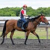 【一口馬主／ラキエータ】ラキエータの夏が始まる♪