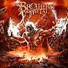 【楽曲紹介】ブラザーズ・オブ・メタル（BROTHERS OF METAL）「We Believe in Metal」