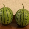 楽しい野菜作り　７月１６日（土）