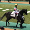 東京競馬5R パドック直前予想　◎14 ディバイングレース　がんばれぇぇぇぇぇ！！