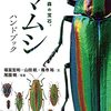 近場のタマムシ