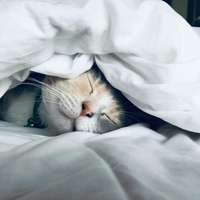 なぜ眠ることが美肌につながる？美容と睡眠の関係