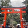 一年のスタートにふさわしい神秘的な神社　「下鴨神社」