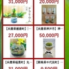 ふるさと納税で広がる「苔テラリウム」の魅力  〜大阪池田市・神戸市・朝来市・稲美町・播磨町で採択〜