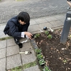 環境リサイクル委員　花植え