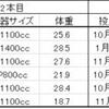 2023/1/23  大型・極太系オオクワガタ菌糸ビン交換