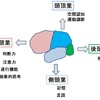 認知症と糖尿病