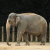 千葉市動物公園へ