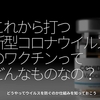 1252食目「これから打つ新型コロナウイルスのワクチンってどんなものなの？」どうやってウイルスを防ぐのか仕組みを知っておこう