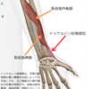 手首の痛み：ドゥケルバン症候群とは