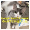 Google Search ConsoleのAPIでCSV出力した