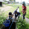 水辺の生き物探し