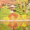  そうか、京都に行こう。 3日目（５）「龍安寺」