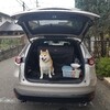 さあ、三連休だ。まずは山中湖へ行こう。