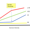 「ひたすらスローに」の話( AeT "Aerobic Threshold" の話)