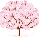 のんびり女医Sakuraの趣味日記