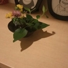 お気に入り
