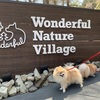 【ドッグラン】またまた、Wonderful Nature Village