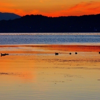 はてブロお届け！