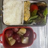 今日のお弁当🍱　息子テストで娘のみ