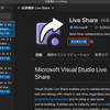VSCodeのライブシェアでリモートでペアプロをする方法