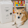 犬のトイレはどうすれば清潔に保てるか問題について