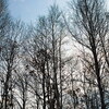  SIGMA 35mm F1.4 DG HSM [Art] 導入