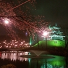 高田公園のお花見に行くとナゼか毎年食べたくなるアレ(*^▽^*)