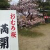 京都の桜　きぬかけの路を散策、御室桜の仁和寺から錦鶴バイキング、二条城ライトアップ