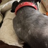 ふくすけ特集やっちゃうよ