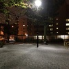 私の不妊治療。排卵後のんびり過ごす♫