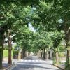 日中の36℃と豪快な応募者