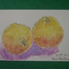 柚子の絵を描いた